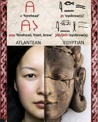 Can Sumerian and Tamil be considered genetically related languages?