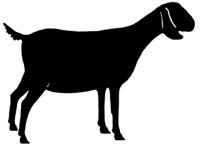 Goat Silhouette Beehive Goat Art Nubian Goat Farm Logo Design