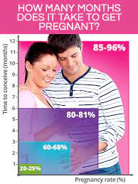 34 percent of those who were trying were pregnant in the 1st month. How Long Does It Take To Get Pregnant Shecares