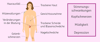 Andere erleben die wechseljahre sehr intensiv mit vielen nicht immer angenehmen begleiterscheinungen. Wechseljahre Bei Frauen Symptome Zeitpunkt Und Behandlung