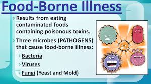 List the four types of decontamination methods. Food Borne Illness Food Safety With Three Types Of Hazards That Make Food Unsafe Biological Pathogens That Cause Illness Chemical Cleaners Ppt Download
