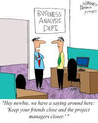 Humor Advice For The New Business Analyst Business Analyst Humor Business Analyst Manager Humor