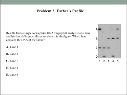 Dna fingerprinting and paternity answer key / pdf low frequency of extra pair paternity in pied flycatchers revealed by dna fingerprinting : Solved Problem 1 Determining Paternity Mother Child 2 Fa Chegg Com