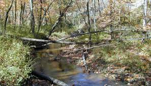 We did not find results for: Volunteer Newsletter Restoring Deer Grove At 100 Forest Preserves Of Cook County