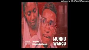 Terry Gee Ft. Ngonie Kambarami