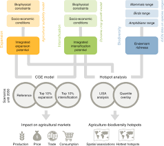 (b) a violation of the civil false claims act (31 u.s.c. Global Impacts Of Future Cropland Expansion And Intensification On Agricultural Markets And Biodiversity Nature Communications