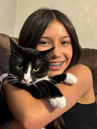 Has anyone seen a tuxedo cat named Koko?