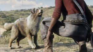 Rockstar's new red dead online . Red Dead Onlines Outlaw Pass 5 Unlocks A Very Good Australian Shepherd Dog Playstationtrophies Org
