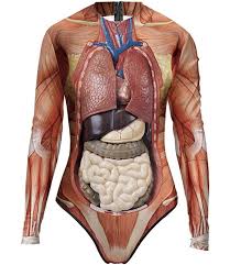 Jul 23, 2016 · related posts of anatomy of the back organs anatomical quadrants. Anatomically Correct Internal Organs Printed Swimsuit
