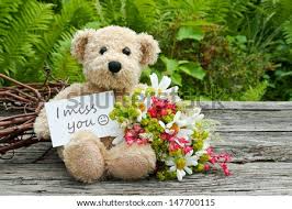 Flowers to say sorry to girlfriend. Teddy Bear With Red Roses And Card With Royalty Free Stock Photo 147700772 Avopix Com