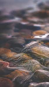 Любое iphone 8+, 7+, 6s+, 6+ iphone 8, 7, 6s, 6 iphone se, 5s, 5c, 5 iphone 4s. 12 Relaxing Nature Iphone Xs Wallpapers Preppy Wallpapers Nature Iphone Wallpaper Iphone Wallpaper Zen Preppy Wallpaper