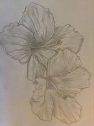 Hibiscus Sketch Yes I M Aware It S Sideways Drawings Graphite Drawings Flower Drawing