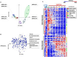 Frontiers Metabolic Linkage And Correlations To Storage