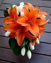 Get the best deal for orange wedding bouquets from the largest online selection at ebay.com. Orange Lilies And Tulips Lots Of Interesting Color Choices Available 110 With Oriental Lil Lily Bouquet Wedding Orange Wedding Flowers Orange Flower Bouquets