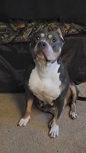 Teaching a old dog new...