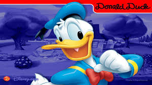 A whole ton of donald duck hd wallpapers for 640x960: Donald Duck Wallpaper Clarice Juarez Flickr