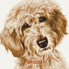 Choose us for beautiful, precise fine art counted cross stitch patterns with unsurpassed quality. Labradoodle Cream Caramel Counted Cross Stitch Kit Etsy Cross Stitch Counted Cross Stitch Counted Cross Stitch Kits
