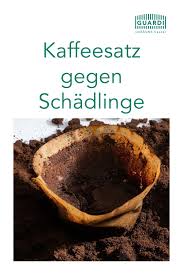 Zero Waste Gartnern Mit Kaffeesatz Kaffeesatz Schadlinge Im Garten Kaffee