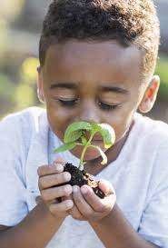 Fiscal Year 2019 Annual Report