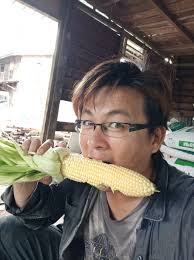 尝试一根玉蜀黍，是够大条了，但是成熟度大概70-80这样而已，多一...