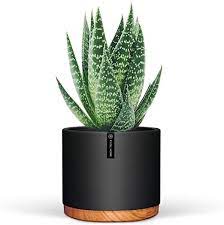 Amazon Com 6 Inch Planter Are Great Indoor Plant Pots With Drainage Holes These 6 Inch Pot For Plan Indoor Plant Pots Planter Pots Indoor Ceramic Flower Pots