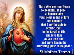 St Mother Teresa Mary Give Me Your Heart So Beautiful So Pure So Immaculate Your Heart So Full O Mother Teresa Quotes Blessed Mother Mary Mother Teresa