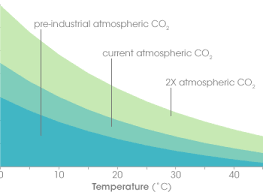 the ocean's carbon balance