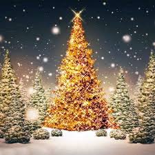 Immagine in miniatura