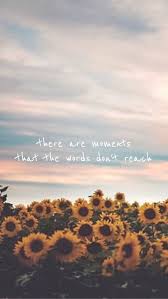 Hong lim market covid : Pin By Dvarshitha On Poze De Fundal Wallpaper Quotes Sunflower Quotes Hamilton Quotes