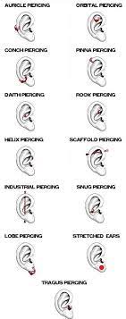 Pin By Lucia G On Piercings Different Ear Piercings Ear Piercing Diagram Piercing