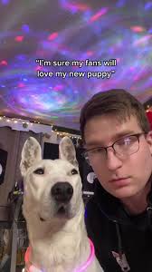 Her name is Joy, not gravy, cookie, tea, and Biscuit is calm. I’ve had my  puppy for less than a week and somehow I have A backlash