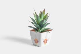 With the plant pot mockup, you can create your own brand on your plants. 40 Best Plant Pot Mockup Templates Free Premium
