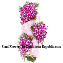 Save with our specials · 100% fresh flowers · same day delivery Send Flowers To Santo Domingo Florist Santo Domingo Flower Delivery To Santo Domingo