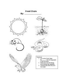 Provide Your Students What They Need To Create Their Own Simple Food Chain All That Is Needed Is This Wo Food Chain Food Chain Worksheet Food Chain Activities