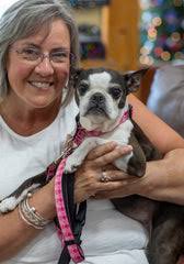 About Yellow Snow Dog Gear