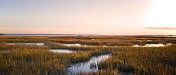 Opportunities for Ocean-Climate Action in the United States