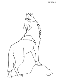To print the coloring page: Wolves Coloring Pages Free Printable Wolf Coloring Sheets