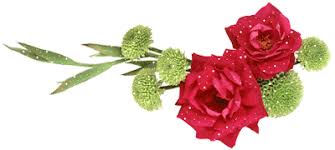 Image result for ‫تصویر متحرک جداکننده‬‎