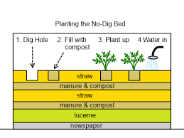 No Dig Gardening Deepgreenpermaculture Com Great Information Here On No Dig Gardening A Fantastic Way Of Keep No Dig Gardening Dig Gardens No Dig Garden