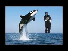 Sorry i missed your call funny. Hey Sorry I Missed Your Call Funny