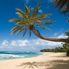 North shore oahu beaches faq. Elevation Of North Shore Waialua Hi Usa Topographic Map Altitude Map