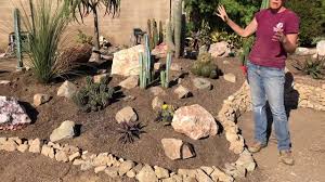Succulents are an enchanting plant variety. What Soil Works Best For Cactus Youtube