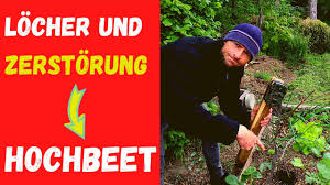 Welches Tier Grabt Locher Im Hochbeet Youtube