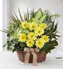 White lily bouquet for sympathy; Dish Garden With Fresh Cut Flowers For Sympathy 1800flowers Com