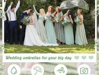 Amazon.com: Dansydaisy 12 Pcs Wedding Clear Bubble Umbrella ...