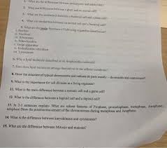 Animal cells are distinct from those of other eukaryotes, most notably plants, as they lack cell walls and chloroplasts and have smaller vacuoles. 1 What Are The Differences Between Prokaryotes And Chegg Com