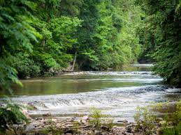 Guide to Everything Outdoors at Kisatchie National Forest