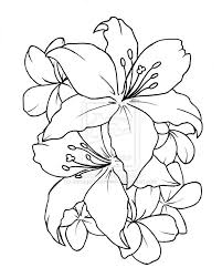 Free lotus flower outline download free clip art free clip. Flower Tattoo Outline Tattoo Designs Ideas