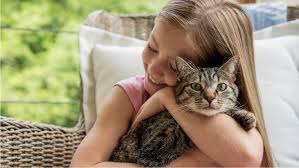 Animal Medication For Cats And Kittens Tractor Supply Co