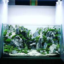 Aquascape With Turly Stone By Farkhi Darul Aquascape Fish Tank Hardscape